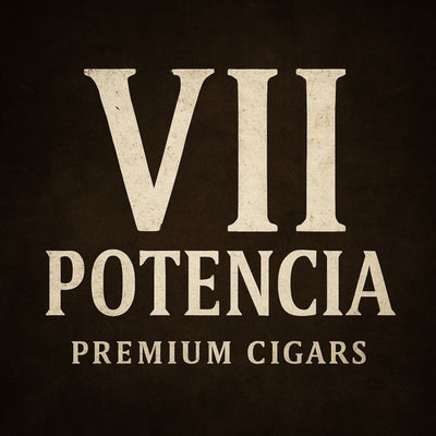 VII ポテンシア