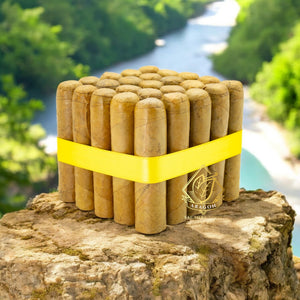 3 1/4X50 Robusto Connecticut - Bundles of 25 & 10