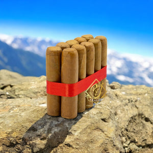 3 1/4X50 Robusto Habano - Bundles of 25 & 10