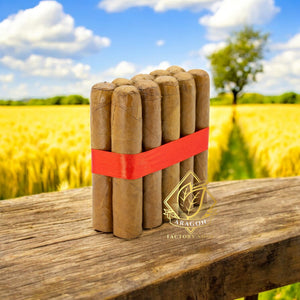 3 3/4x46 Robusto Habano-Bundles of 25 & 10