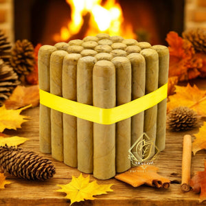 4 3/4x56 ロブスト コネチカット - 25個と10個のバンドル