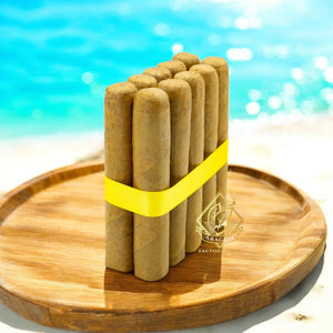 4 3/4x56 ロブスト コネチカット - 25個と10個のバンドル