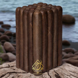 6 1/4X52 Toro BP Habano -Bundle of 25