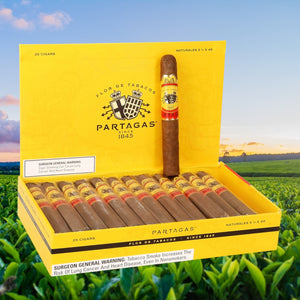 Partagas Natural 5"1/2 * 50