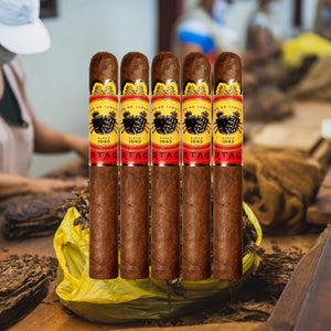 Partagas Natural 5"1/2 * 50-Sampler of 5