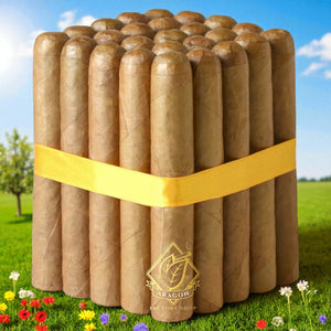 5x50 Robusto Connecticut- Bundle of 5, 10 and 25