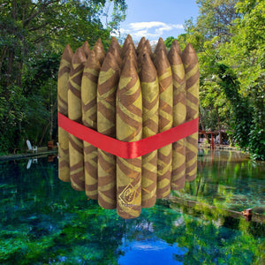 6x60 Dual Leaf Torpedo-Bundles of 25