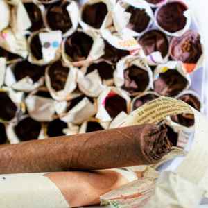 Tampeño Cigars Newspaper Edition Sumatra