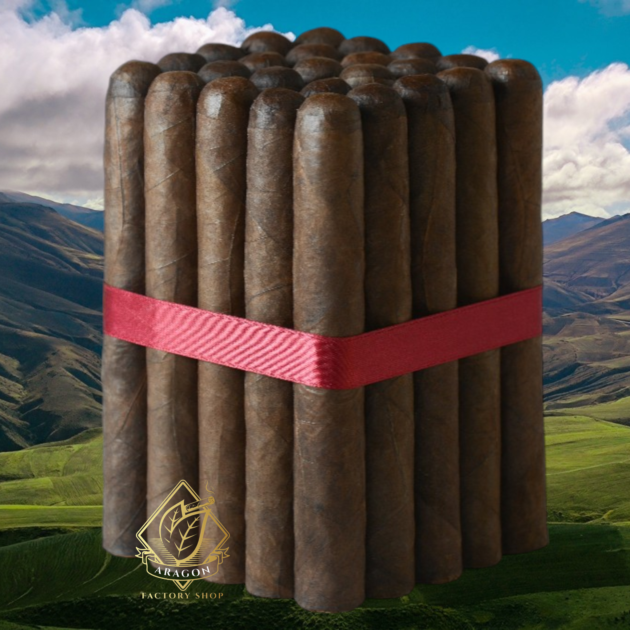 6X54 Toro Maduro-Bundle of 25 & 10 - Tabacalera Aragon