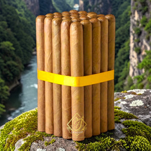7x48 Connecticut-Bundles of 10 & 25