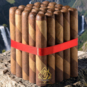 7x60 Super Gordo Barber Pole-Bundles of 25 & 10