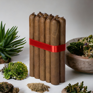 6 1/2x56 Behike - Bundle of 10 and 25