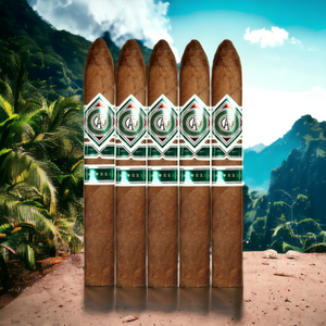 CAO カメルーン ベリコソ 6" * 54-サンプラー 5