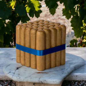 Havana Nights 4 1/2 x 60 Connecticut