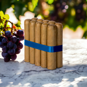 Havana Nights 4 1/2 x 60 Connecticut