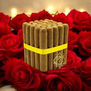 5 1/2x58 ロブスト コネチカット - 25個と10個のバンドル