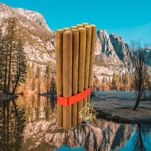 7 1/2x38 Lancero Habano - Bundle of 25 and 10