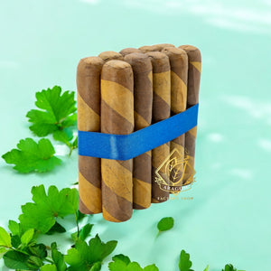 4 1/2x52 ロブスト バーバーポール - 25本と10本のバンドル