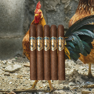 Espinal Puro Medium – Toro 6×50-Sampler of 5