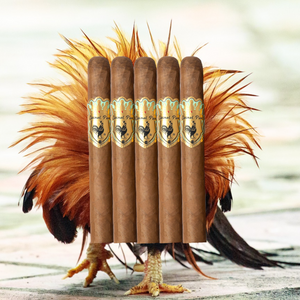 Espinal Puro Smooth – Toro 6×50-Sampler of 5