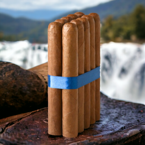 6X54 トロハバノ - 5、10、25の束