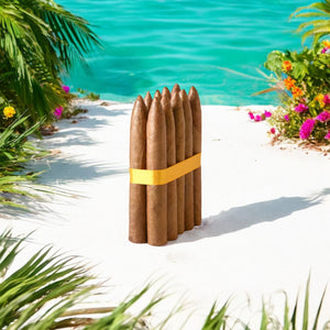 5X54 Torpedo Connecticut - Bundle of 10 and 25