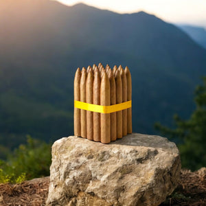 5X54 Torpedo Connecticut - Bundle of 10 and 25