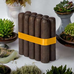 Havana Nights 4 1/2 x 60 Maduro