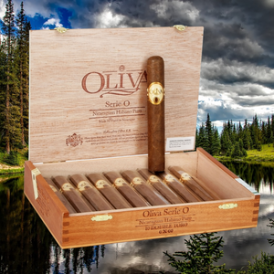 オリバ セリエ O ダブル トロ 6" * 60