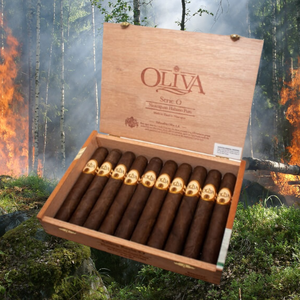 オリバ セリエ オ マドゥロ ダブル トロ 6" * 60