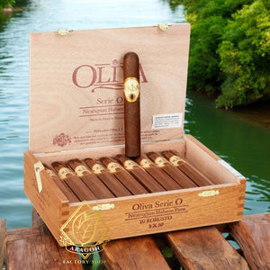 オリバ セリエ O ロブスト 5インチ * 50