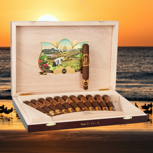 オリバ セリエ V 135 周年記念エディシオン リミターダ