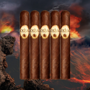 Oliva Serie O Double Toro 6" * 60-サンプラー 5