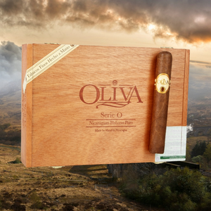 オリバ セリエ O ダブル トロ 6" * 60