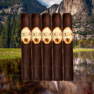 オリバ セリエ オ マドゥロ ロブスト 5" * 50 サンプラー 5