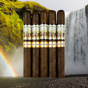 New World Puro Especial Toro 6"1/2 * 52 Sampler of 5