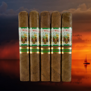 ニューワールド カメルーン ゴルド 6インチ * 60個入り 5個入り