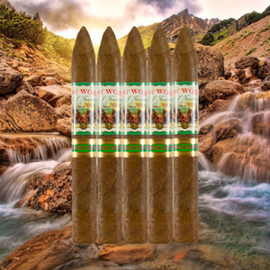 新世界カメルーン魚雷 6インチ1/2 * 52個入り5個入り