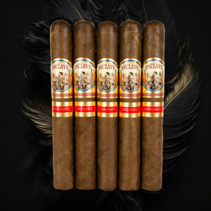 AJ Enclave Toro 6" * 52 サンプラー 5