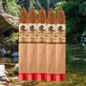 Stallone Alazan Corojo Torpedo BP 6.5x52-Sampler of 5