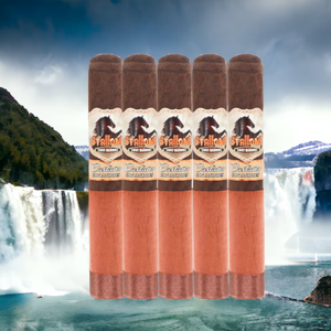 Stallone Castano Robusto BP 5.5X52-Sampler of 5