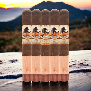 Stallone Castano Toro BP 6x54-Sampler of 5