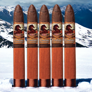 Stallone Castano Belicoso BP 6x54-Sampler of 5