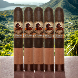 Stallone Castano Gordo 6x60-Sampler of 5