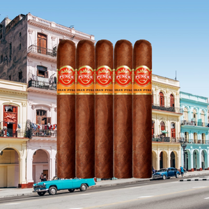 Punch Gran Puro Rancho 5"1/2 * 54 Sampler of 5
