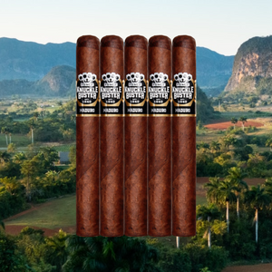 Punch Knuckle Buster Maduro Toro 6" * 50 Sampler of 5