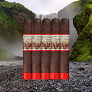 New World Navegante Robusto 5"1/2 * 55-サンプラー 5