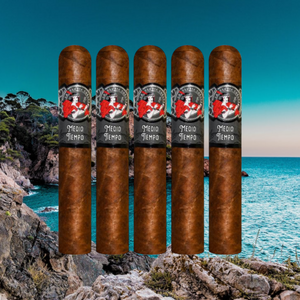 ラ グロリア クバーナ メディオ ティエンポ ロブスト 5" * 54-サンプラー 5