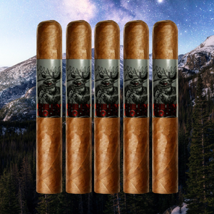 チリン・ムース・ギガンテ 6インチ×60枚入り 5枚組