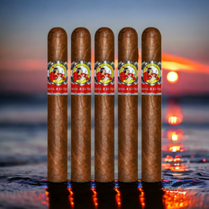 ラ グロリア クバーナ セリエ R エステリ No. 52 6 インチ* 52 サンプラー 5 個